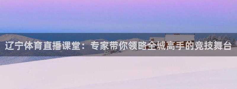 辽宁体育直播课堂：专家带你领略全城高手的竞技舞台
