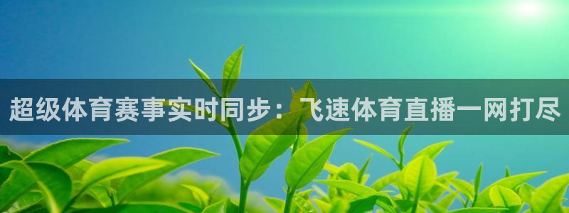 超级体育赛事实时同步：飞速体育直播一网打尽
