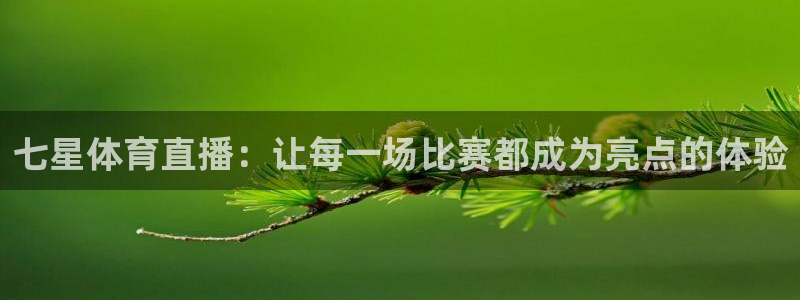 七星体育直播：让每一场比赛都成为亮点的体验
