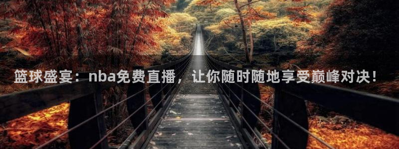 篮球盛宴：nba免费直播，让你随时随地享受巅峰对决！