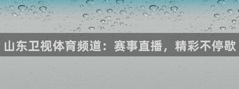 山东卫视体育频道：赛事直播，精彩不停歇