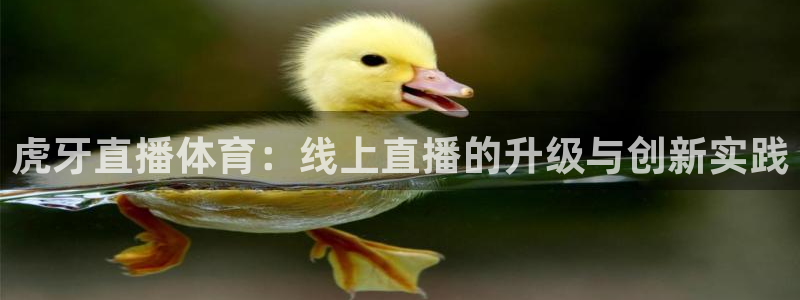 虎牙直播体育：线上直播的升级与创新实践