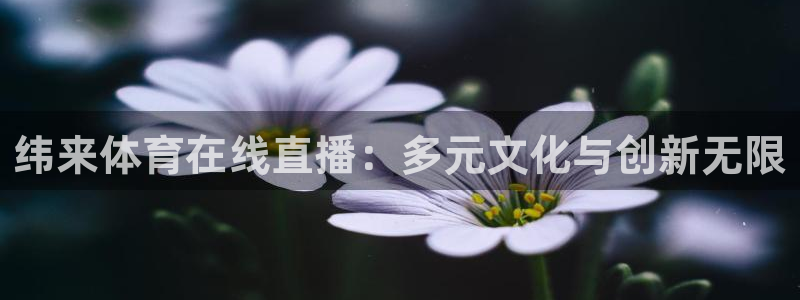 纬来体育在线直播：多元文化与创新无限